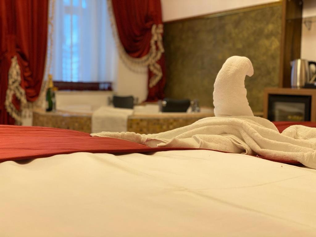 Vila Imperial One Luxury Boutique Hotel Făgăraş Buitenkant foto